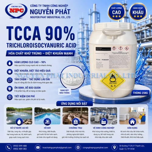 TCCA 90% | Acid Trichloroisocyanuric | dạng bột