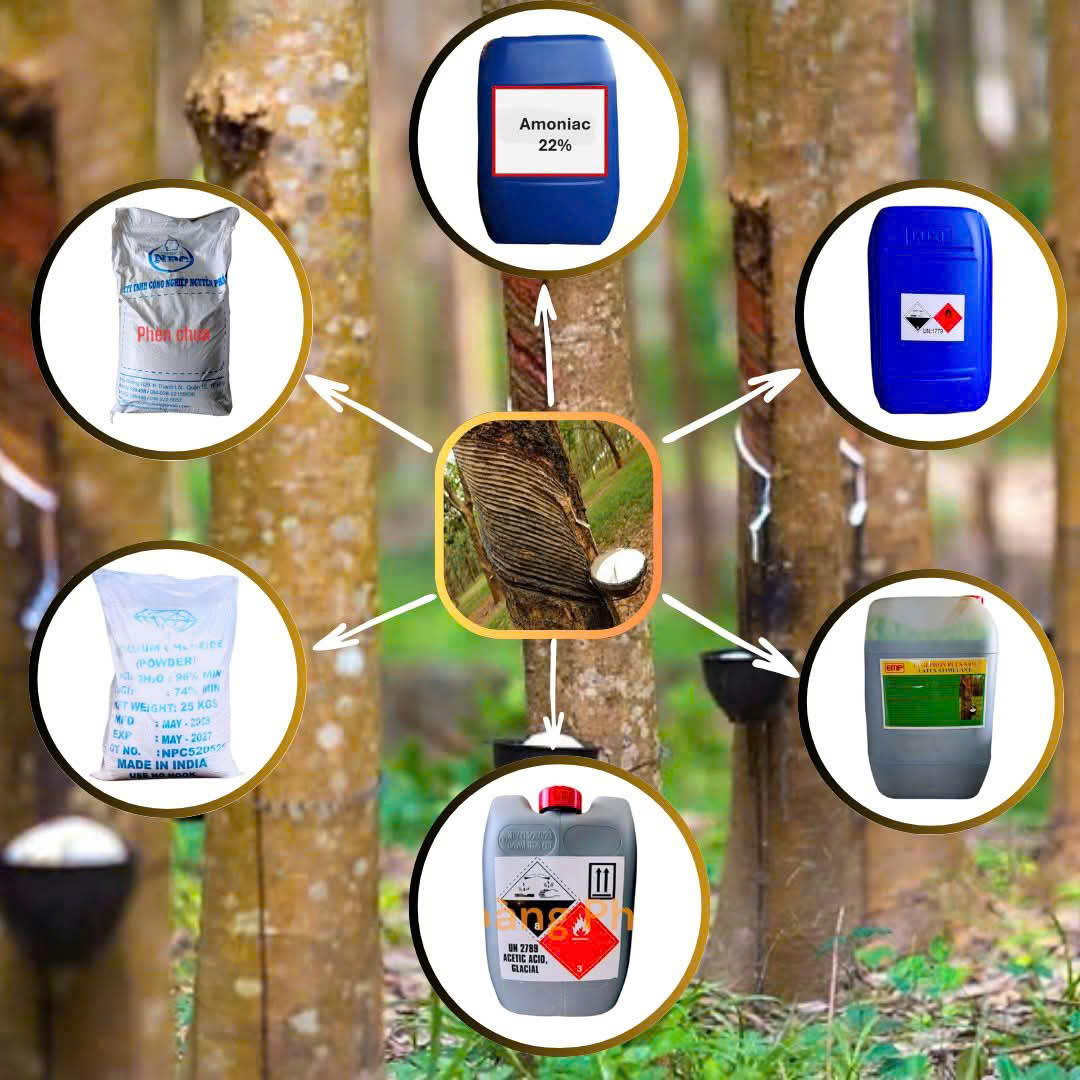 Các Chất đông mủ cao su 